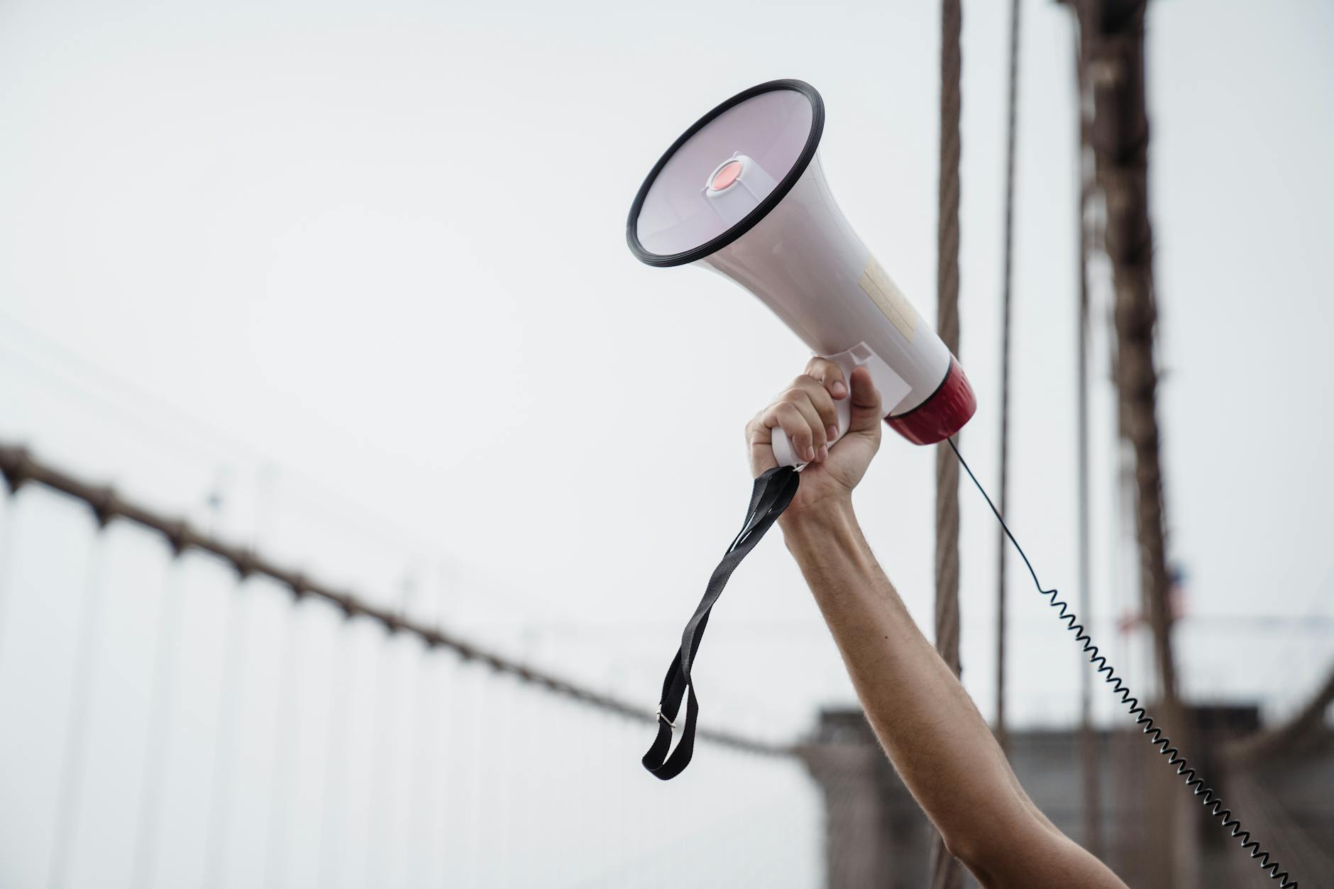 person holding white and black megaphone